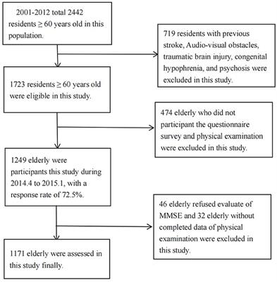 Relationship Between Hypertension and Cognitive Function in an Elderly Population: A Population-Based Study in Rural Northern China